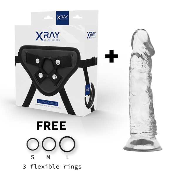 X RAY – ARNÊS + DILDO TRANSPARENTE 19 CM -O- 4 CM