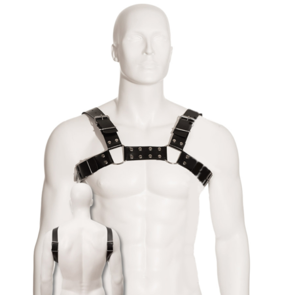 LEATHER BODY – ARNÊS PARA CES BLACK BULL